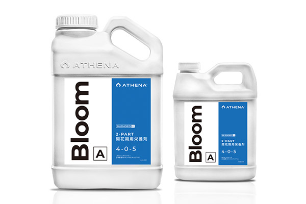 Bloom A