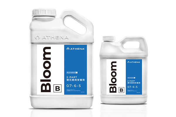 Bloom B