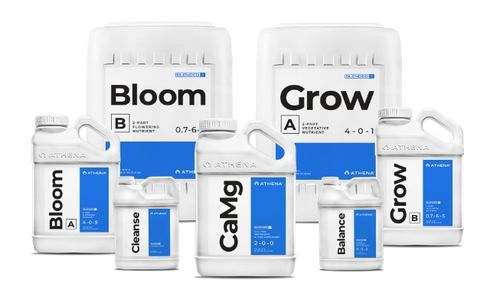 blended-group